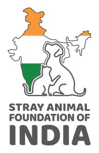 stray animal foundation of india|Iba pa.